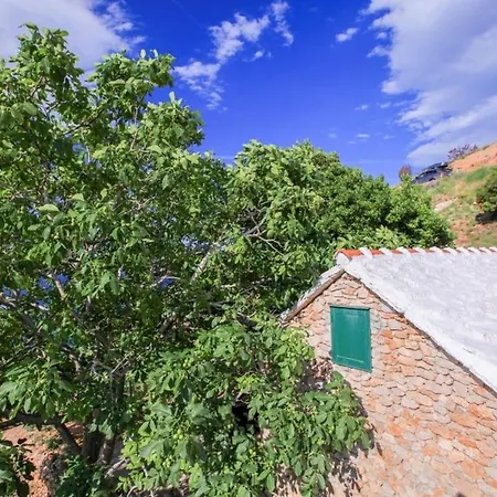 Robinson Capitano * Bol