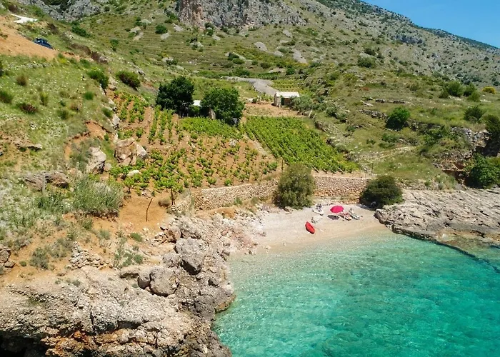 Nyaraló Robinson Capitano *