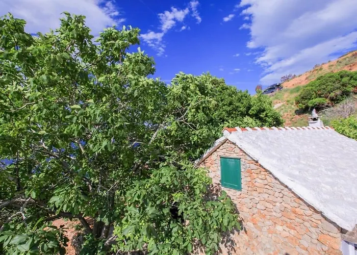 Robinson Capitano * Bol