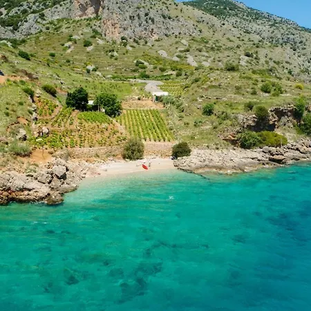 Robinson Capitano Bol